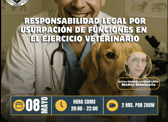 Captura de pantalla 2025-05-07 a las 11.08.41 p. m.